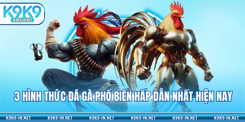 3 hình thức đá gà phổ biến hấp dẫn nhất hiện nay